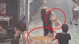 上海一男子遛狗不栓绳致人被咬伤 抱走又放下再次纵狗咬人