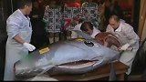 东京鱼市新年拍卖巨型金枪鱼拍出4万美元