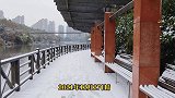 我的城市下雪了！湖南衡阳-平湖雪韵，这才是冬天该有的样子