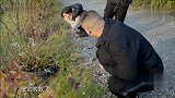 吹了个寂寞！岳云鹏吹蒲公英时的表情太逗了 真不愧是喜剧演员