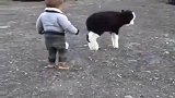 懵懂少年，出生牛犊，谁也不服谁！