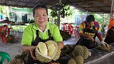 泰国榴莲大量滞销，卖不出去怪中国？再过5年，榴莲市场可能变天