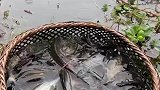 下雨天也阻挡不了钓鱼人的步伐