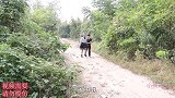 成长记29：张奶奶把小楠带到荒山野岭，小楠会有危险吗？担心