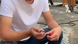 没想到我老公竟然被刚睁眼的小奶猫给凶了萌宠出道计划 猫 萌宠 田园生活