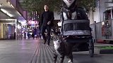 猫妹：看到我健硕的肌肉了吗？ shopping在鼓楼  Hi 鼓楼