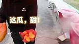 这瓜，甜！被热情的新疆人又一次暖到了！