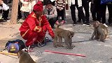 还记得你是什么时候关注我的
