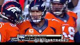 NFL-1314赛季-常规赛-第三周-突袭者VS野马比赛集锦-精华