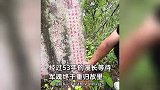 男子深山发现年仅18岁烈士的墓地，家属奔赴2000公里赶来：53年后终归故里！