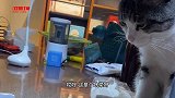 我知道这玩意儿偷袈裟别装了