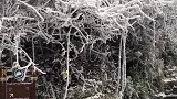 齐聚天门山