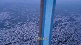 成千上万的鱼漂浮在水面，往河道里仔细一看，人们似乎明白了原因