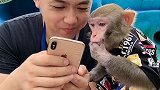 麦兜太想要好吃的了