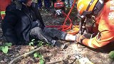 野猪夹“咬”住老人脚，消防紧急救援