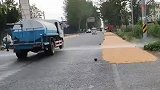 农民在公路上晒玉米，洒水车路过仍正常作业