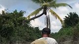 部落之行，其实挺失望的