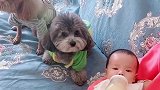 崽胖子就是操心的命，如今又多个了任务，那就是看孩子