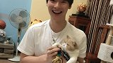 这大概就是安静的美男子吧！王哲林撸猫爱心爆棚