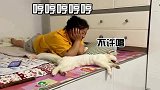 猫你唱歌真要猫命！