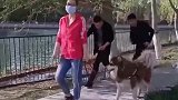 果然在极端的情况下，会爆发出潜能，笑死我了