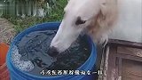 别动不动就和老公吵架，有啥事不能坐下来好好谈谈呢