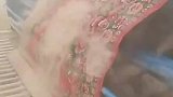 地毯清理灰尘，我都不敢呼吸