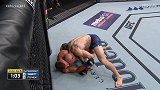 UFC-18年-UFC on FOX28：羽量级 史蒂芬斯VS埃米特-单场