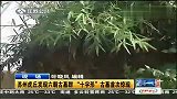 苏州虎丘发现六朝古墓群 “十字形”古墓首次惊现