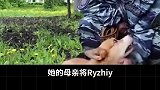 柯基当警犬，你见过吗？柯基 精神小狗