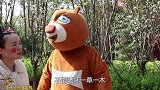 熊出没真人版：光头强又来伐树，翠花假扮“守护神”吓晕光头强