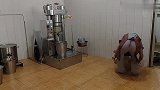 叛逆期孩子太难管教，涛子二哥发威了