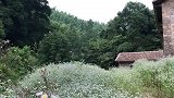 在深山更深处，藏着这样的人家。清风和明月，蓝天和野花。