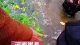 小孩坠河，衣服来不及脱就下水救人了