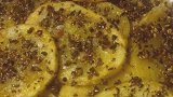 烧烤干锅土豆片