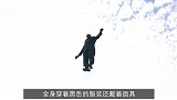 萌狮大赏 美国大叔表演“悬浮术”，当场揭开魔术真相，看完恍然