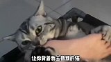 搞笑视频：小花这玩意儿好吃唉确实好吃 小花这够咱们吃好几天了
