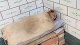 不好意思，睡的太死了