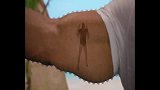WWE-16年-强森介绍动画片《莫阿娜》角色Maui 将在片中一展歌喉-专题