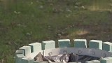 土豪老大爷拿硬币和路人换纸币，然后用纸币来擦鼻涕，有钱真任性