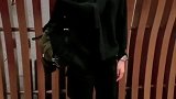 鹿晗女朋友关晓彤越来越漂亮了