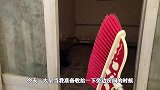 破烂小屋发现神秘孵化箱，冲入60只家禽中抢蛋，这次孵化能成功