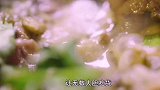 贵阳最正宗“牛粪”火锅，最重口味独特的黔东南“牛瘪火锅”火锅