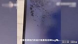 密恐慎点！海南女子误将奶茶溅入电脑显示屏，大量蚂蚁钻进屏幕