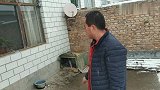 下大雪了，必须给狗窝做个保暖，狗狗真是迫不及待