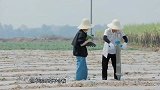 郭麒麟登《向往的生活》，意外听到他对岳云鹏的称呼