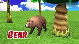 猪羊从农场木屋走出来学颜色