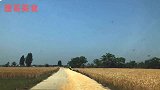 滁州凤阳乡村土菜馆，吃特色鱼煮饭4个人喝三斤白酒过瘾！