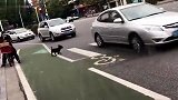 看热闹的不嫌事大，属猴的吧