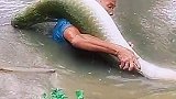 论钓鱼高手说，钓大鱼得会溜